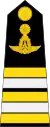 Lieutenant Colonel