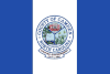 Flag of Camden County