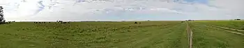 The extensive temperate prairies of the Pampas in the center of Argentina.