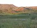 Canadian River wetlands near Fritch, TX