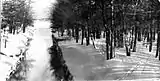 February 1900 – Clam Lake Canal unfrozen