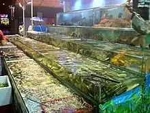 Tanks of seafood at a Cantonese restaurant