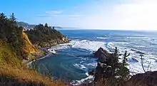 Cape Arago Site (35CS10)