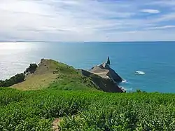 Looking northeast towards Cape Kidnappers / Te Kauwae-a-Māui