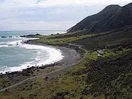 coastline in Palliser Bay