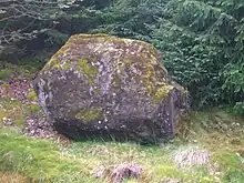 The Carlin stone near Craigends Farm, East Ayrshire, Scotland.