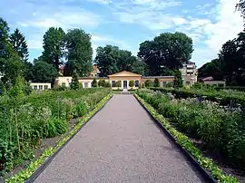 The restored Linnaean garden