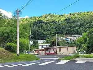 PR-5155 south at its junction with PR-5555 in Orocovis barrio