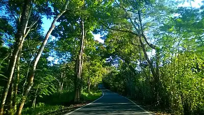 Heading east in Río Lajas, Toa Alta