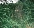 A view of the abutment of the old carriageway bridge over the Annick Water near the old walled gardens.