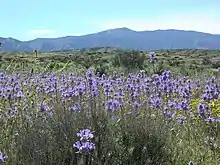 Caliente Peak, California