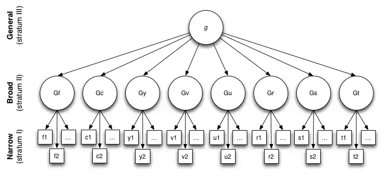 Carroll's Three Stratum Model of Human Intelligence: General intelligence (g) fluid intelligence (Gf), crystallized intelligence (Gc), general memory and learning (Gy), broad visual perception (Gv), broad auditory perception (Gu), broad retrieval ability (Gr), broad cognitive speediness (Gs), and processing speed (Gt).