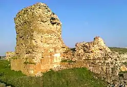 Ruins of Carsium