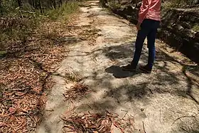 Convict-built road, Mount McQuoid, Great North Road, Bucketty, NSW. Cart-wheel tracks in stone.