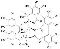 Chemical structure of castalagin