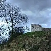 Photograph of a ruined castle