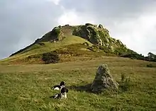 Castell Deganwy Castle