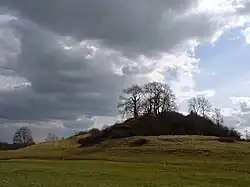 Fenny Castle: a motte and bailey castle