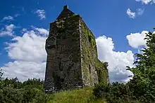 Carrignacurra Castle, Co. Cork, Ireland.