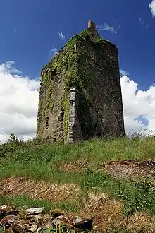 Carrignacurra Castle, Co. Cork