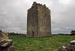 Lackeen Castle in Abbeville townland (near Lorrha) in County Tipperary