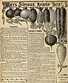 Page from Catalogue of Seeds, Plants, Bulbs and Fruits, 1894