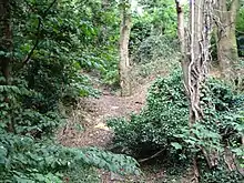 Catton Grove Chalk Pit