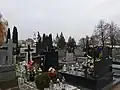 Part of the cemetery in the village