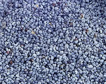 Czech blue poppy seeds (as food)