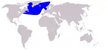 Northern bottlenose whale range