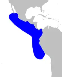 Pygmy beaked whale range