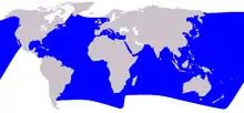 Striped dolphin range