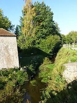 A small watercourse flowing between a building to the left and a fenced road to the right, bordered by vegetation and with trees on the skyline.