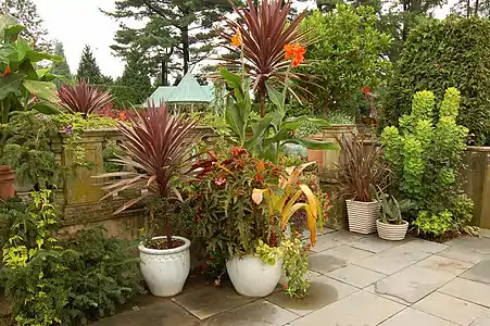 Plants on the Croquet Lawn in front of the main house