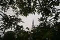 Memorial Chapel (University of Maryland) with Quercus alba