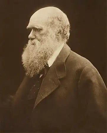 Head and shoulders portrait of Darwin