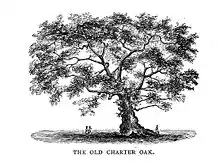 The Charter Oak