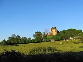 The Château de Ballon