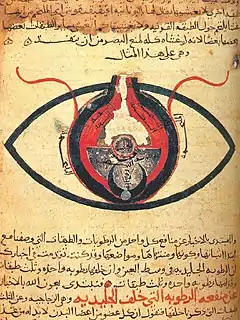 Image 4The eye according to Hunayn ibn Ishaq, c. 1200 (from Science in the medieval Islamic world)