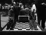 Social play on a vinyl board in a park in Kyiv