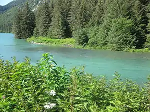 Outlet from the lake forming the Chilkoot River