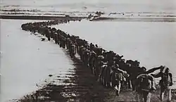 A long orderly line of heavily laden soldiers marching in pairs away from the camera down a road across an open expanse