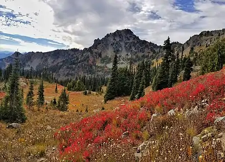 Chinook Peak, east aspect