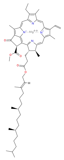 Structure of chlorophyll a