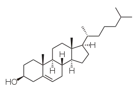 Chemical structure of cholesterol