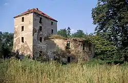 Castle ruins