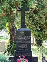 The grave monument of Józef Kiedroń