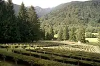 The French Military Cemetery at Chêne-Millet.