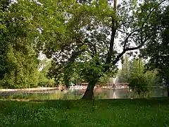 Fountain on Cișmigiu Lake