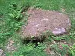 Cist and associated mound in Langridge Wood, 410 m north west of Treborough Lodge